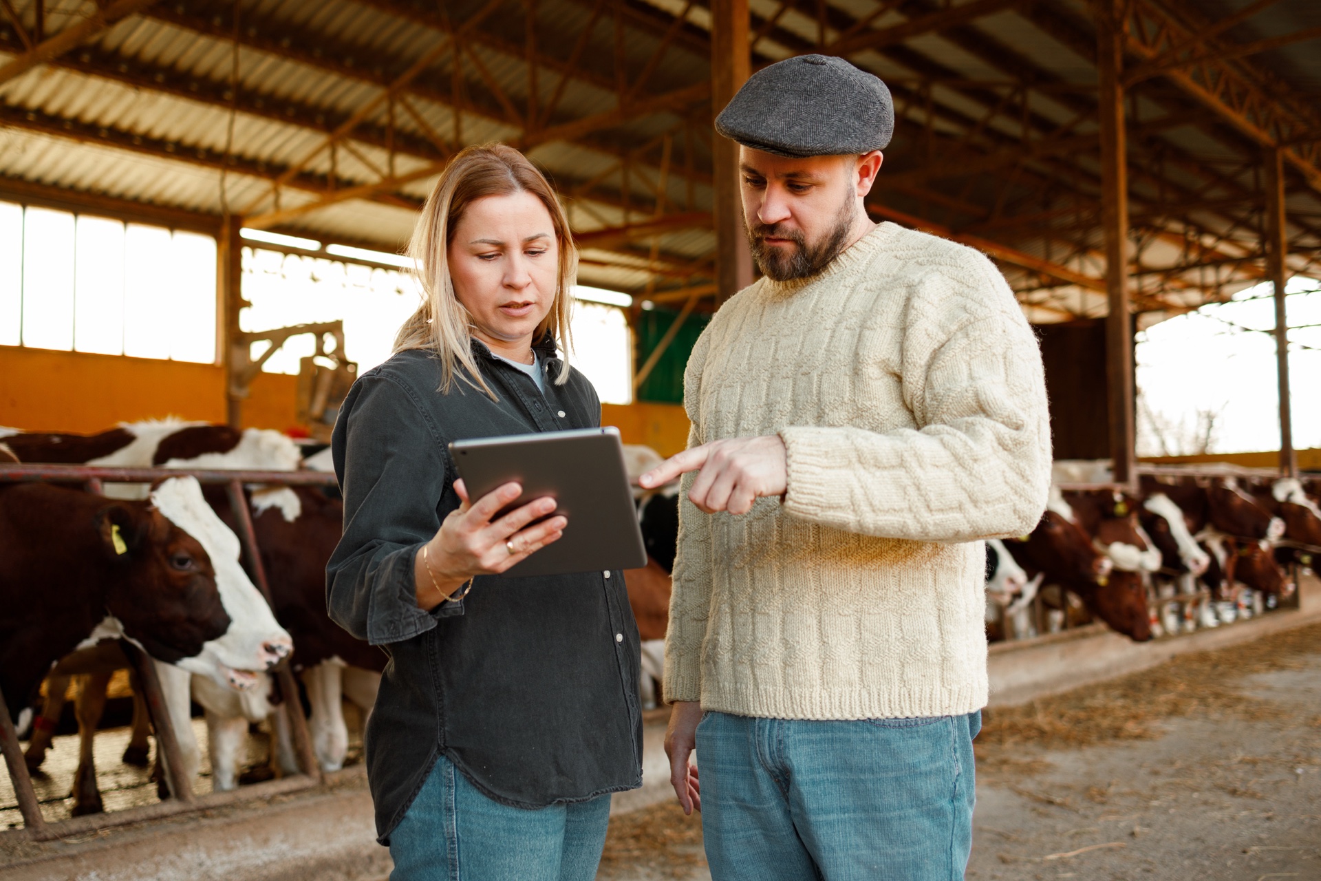 Animal TB Rapid — bovine tuberculosis rapid test