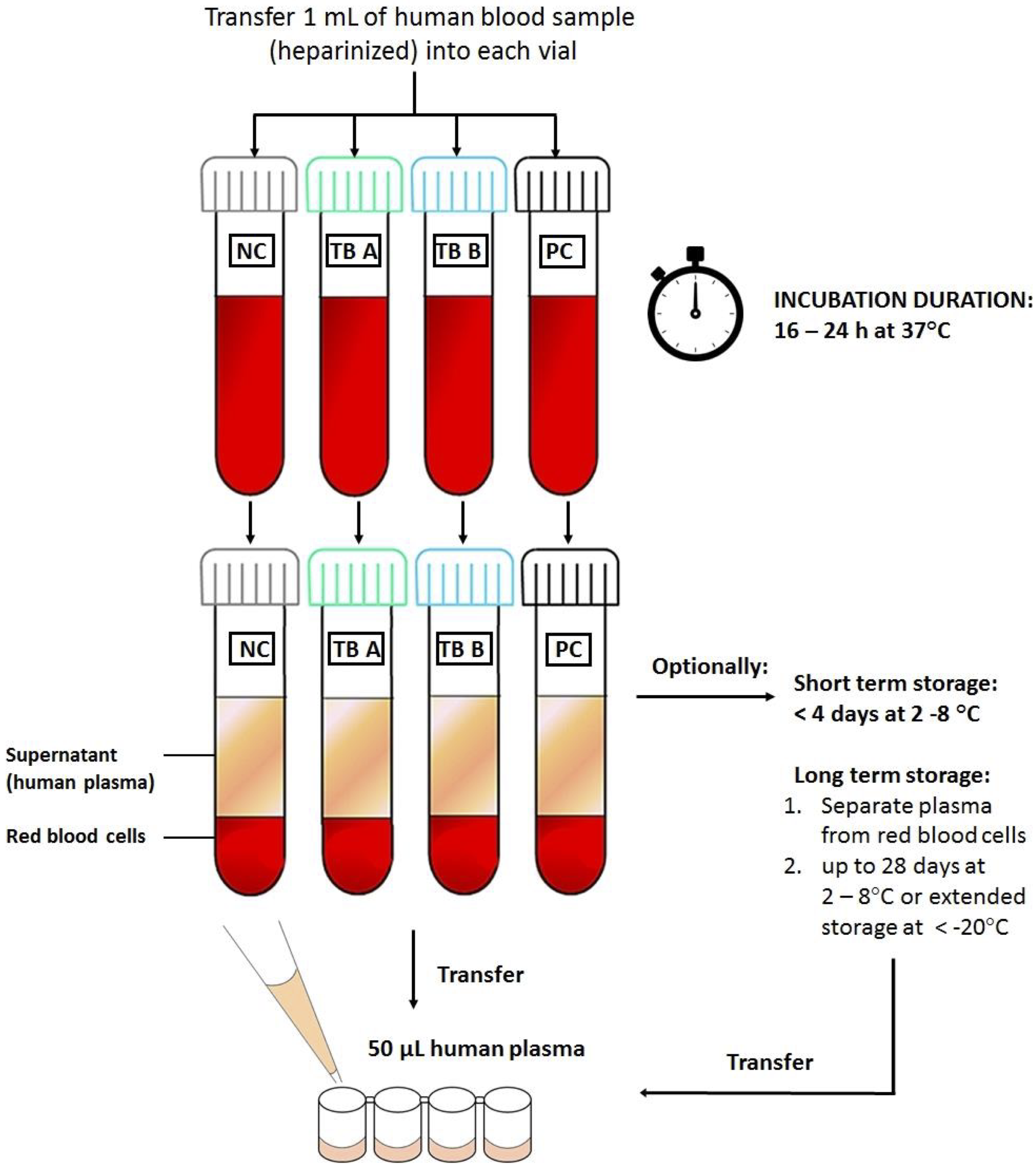 LIOFeron® TB/LTBI IGRA assay principle - whole-blood stimulation and interferon-gamma ELISA detection